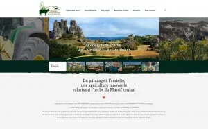 Pâturages du Massif central