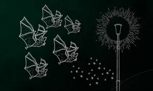 Trame noire - espèces pollution