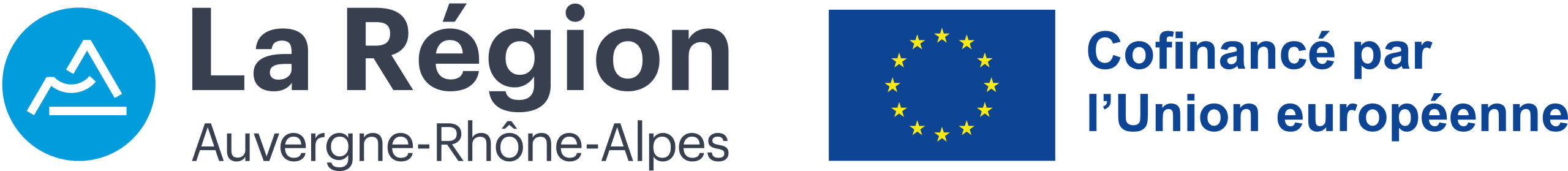 Logo UE